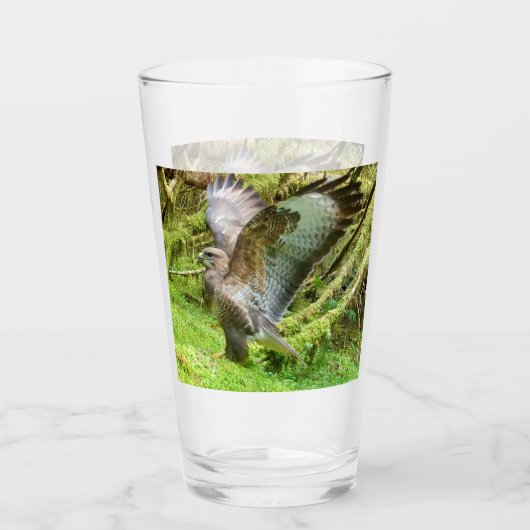 Verre Art animalier : Aile de Buse variable s'étirant pe (Devant)