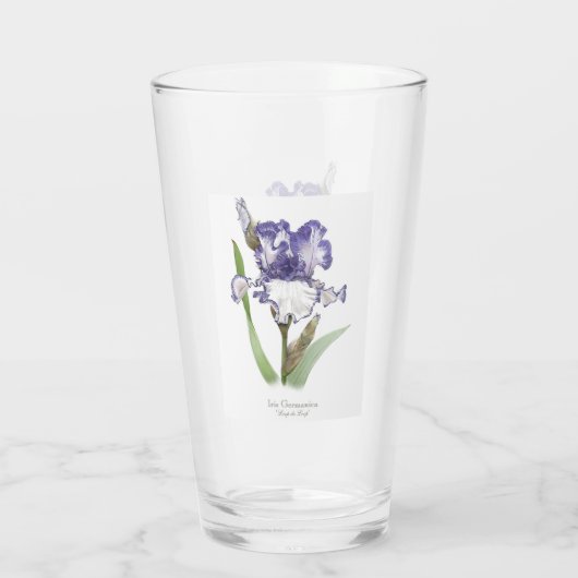 Verre Art Botanique Fleur Iris Violet (Dos)