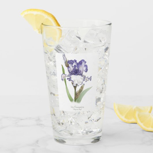 Verre Art Botanique Fleur Iris Violet (Devant glace)