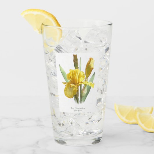 Verre Art botanique jaune Iris (Devant glace)