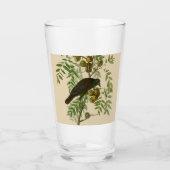 Verre Audubon American Crow Black Bird (Devant)