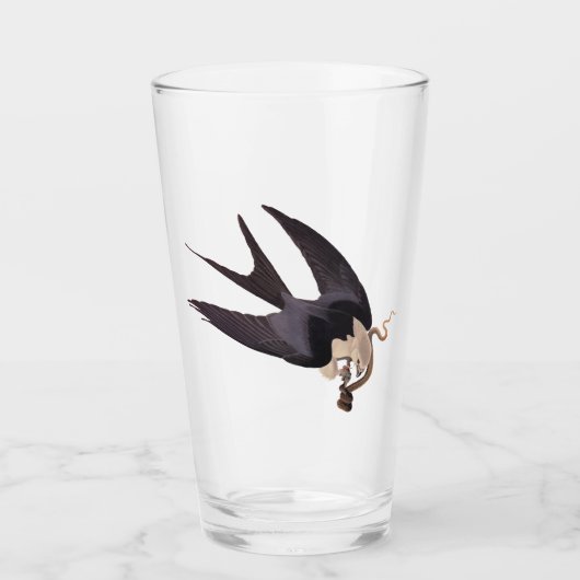Verre Avaler Queue Hawk avec Serpent Vintage Audubon (Devant)