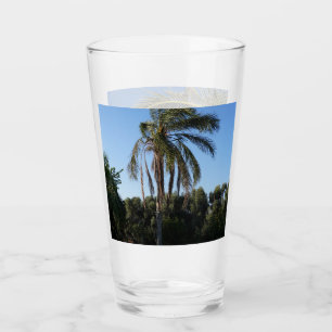 Verre Balayage d'un palmier sous un ciel clair