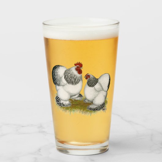 Verre Bantams colombiens de Cochin (Devant (rempli))