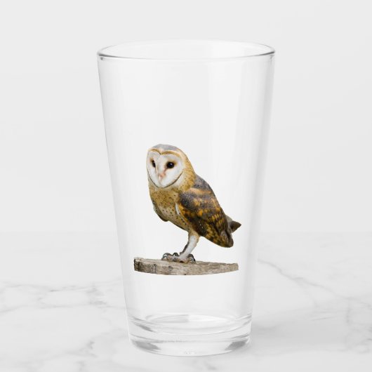Verre Barn Owl (Devant)