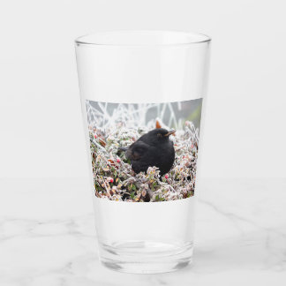 Verre Blackbird d'hiver