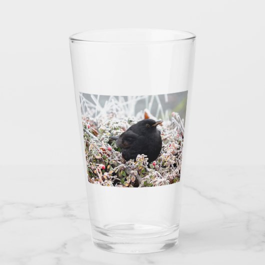 Verre Blackbird d'hiver (Devant)