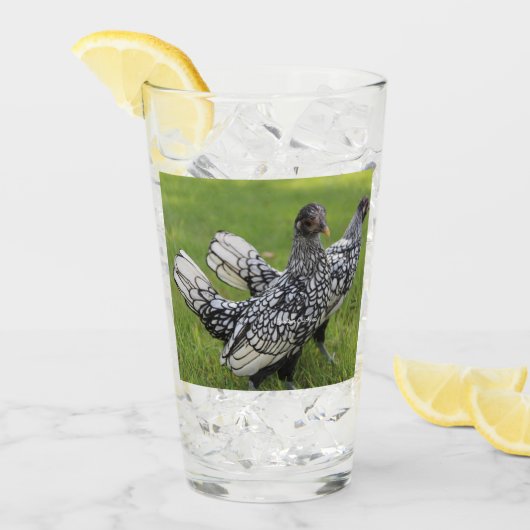 Verre Boisson à bantam noir et blanc Collecteurs de poul (Devant glace)