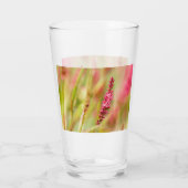 Verre buisson de couleur (Dos)