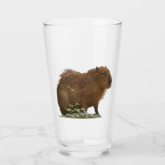 Verre Capybara (Devant)