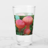 Verre Champignons rouges brillants sur le sol forestier (Dos)