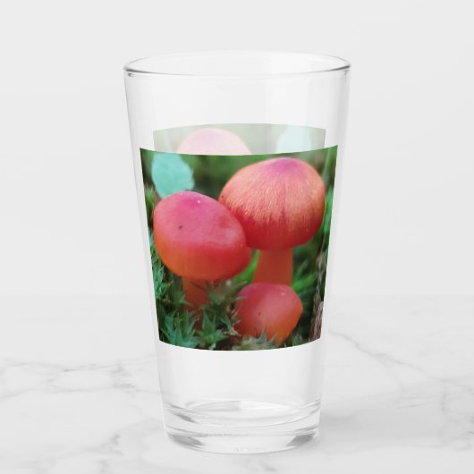 Verre Champignons rouges brillants sur le sol forestier (Devant)