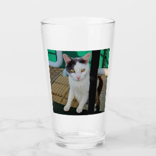 Verre Chat noir et blanc