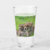 Verre Cheetah 001 (Dos)