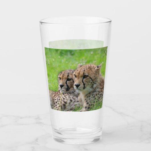 Verre Cheetah 001 (Devant)