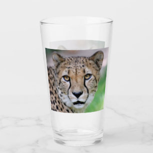 Verre Cheetah 009