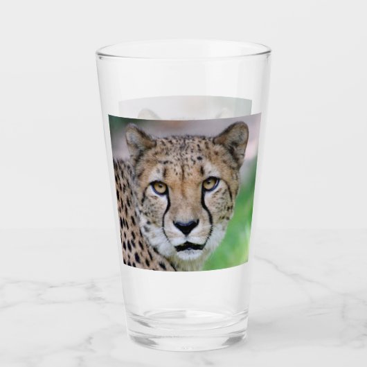 Verre Cheetah 009 (Devant)