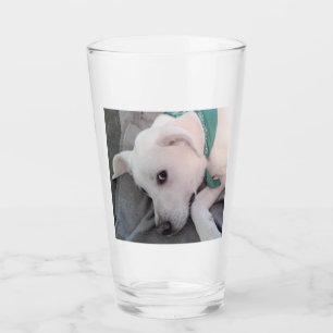 Verre Chien fatigué en Jour de la Saint Patrick portant