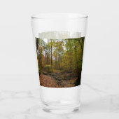 Verre Chute Sunlit dans le parc national de Laurel Hill (Dos)