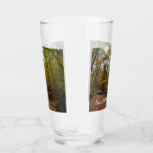 Verre Chute Sunlit dans le parc national de Laurel Hill (Droite)