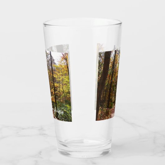 Verre Chute Sunlit dans le parc national de Laurel Hill (Gauche)