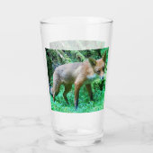 Verre Club Red Fox (Dos)