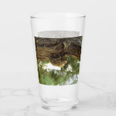 Verre Coquille de Canada. C'était pressé. (Dos)