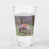 Verre Couteau Renard rouge (Dos)