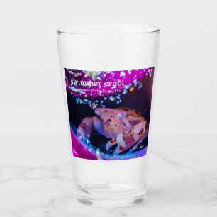 Verre Crabe mignon dans l'anémone à tube pourpre