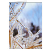 Verre cristal (Devant)