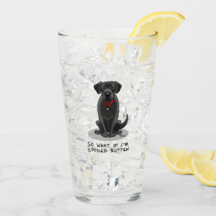 Verre Cute Spoten Rotten Black Labrador Retriever Chien
