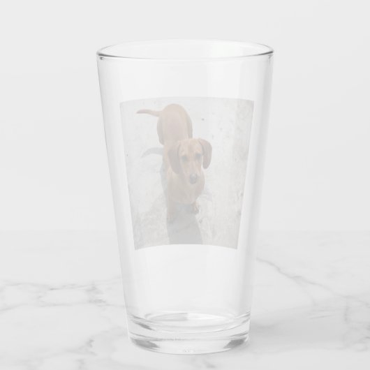 Verre dachshund plein (Dos)