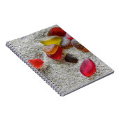 Verre de mer rouge - carnet (Côté Droit)