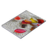 Verre de mer rouge - carnet (Côté gauche)