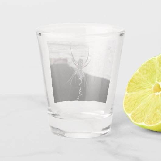 Verre de tir d'araignée (Dos)