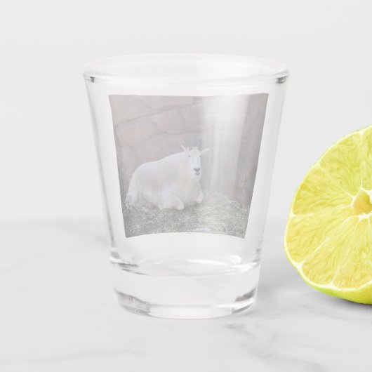 Verre de tir de chèvre (Dos)