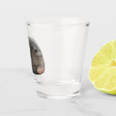 Verre de tir Judging Seal Meme (Droite)