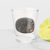 Verre de tir Judging Seal Meme (Devant)