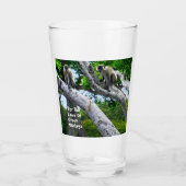 Verre des singes verts de la Barbade (Devant)