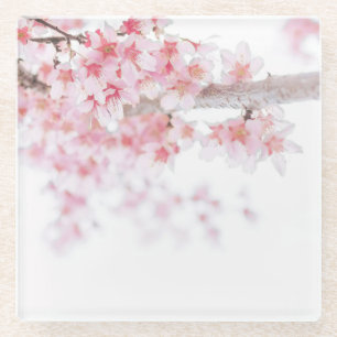 Verre Dessous-de-verre en verre: CHERRY BLOSSOM