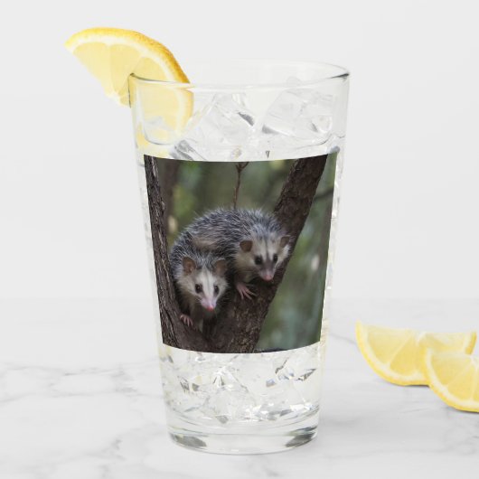 Verre Double difficulté dans la canopée : Sommes jumelle (Devant glace)