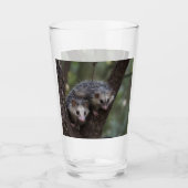 Verre Double difficulté dans la canopée : Sommes jumelle (Devant)