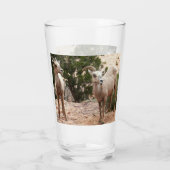 Verre Drôle Mouton de Bighorn dans le parc national Zion (Dos)