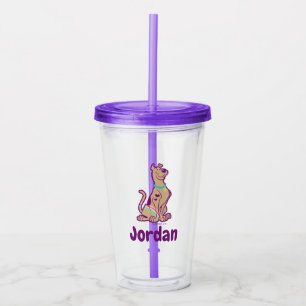 Verre En Acrylique Arc-en-ciel Scooby-Doo