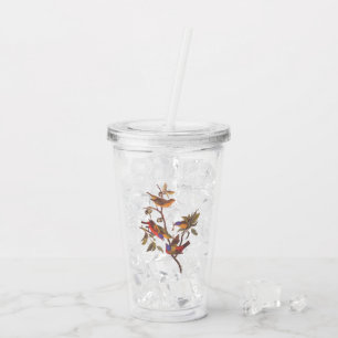 Verre En Acrylique Audubon Painted Bunting Birds is Wild Plum Tree