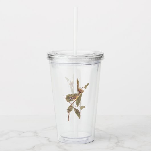 Verre En Acrylique Audubon Swainson's Warbler Bird on Oak Branch (Devant)