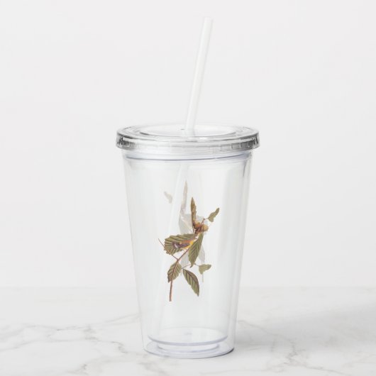 Verre En Acrylique Audubon Swainson's Warbler Bird on Oak Branch (Dos)