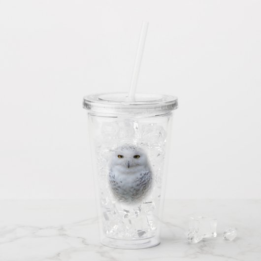 Verre En Acrylique Belle, Dreamy et Serene Snowy Owl (Dos glace)