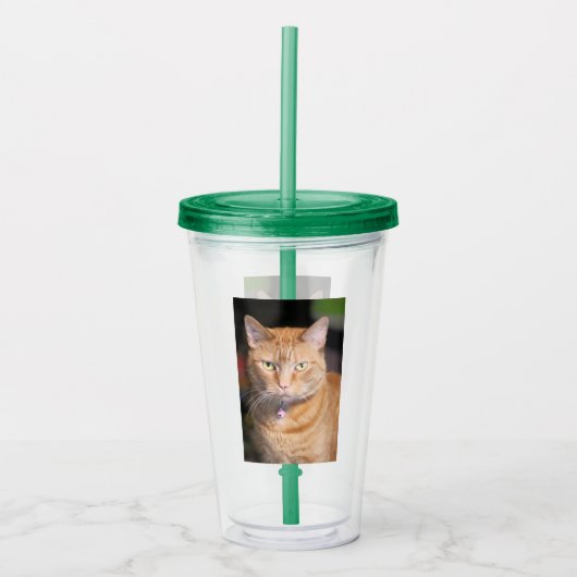 Verre En Acrylique Cat (Devant)