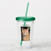 Verre En Acrylique Cat (Dos)